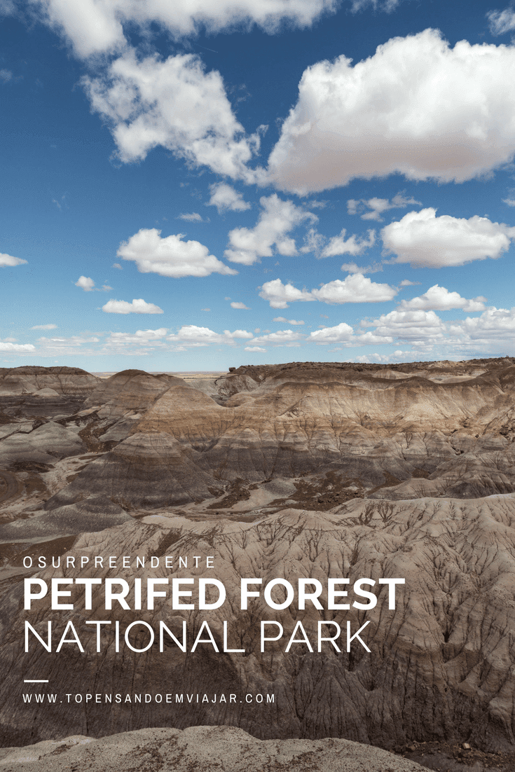 Petrified Forest National Park