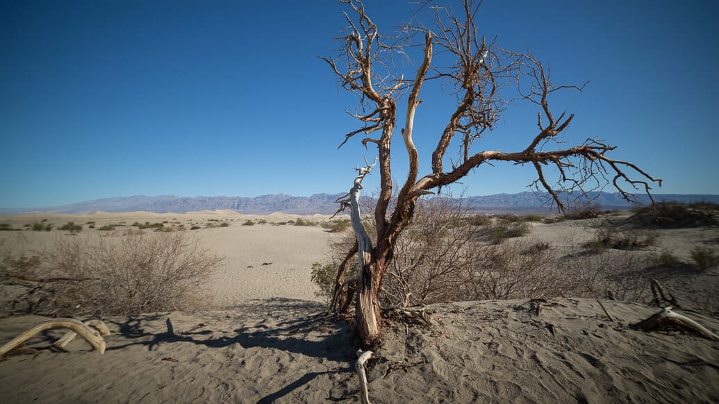 Dicas para visitar o Death Valley, na Califórnia