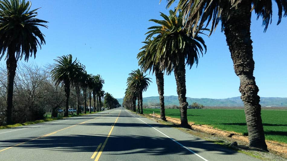 Estrada que corta o San Joaquin Valley, na Califórnia
