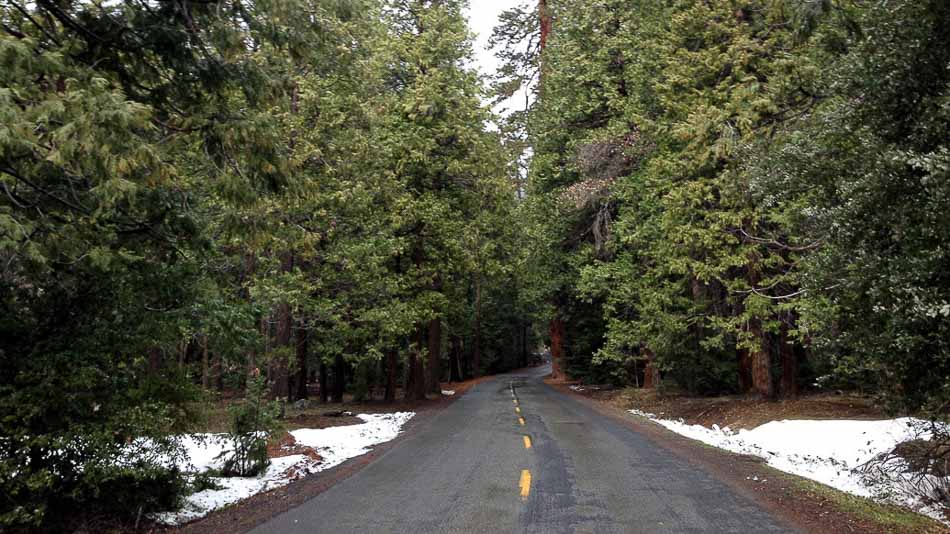 Estrada no Yosemite cercada por árvores