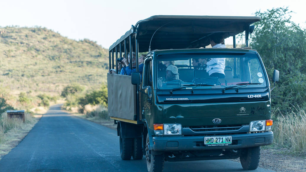 Pilanesberg Park: a melhor opção de safári perto de Joanesburgo