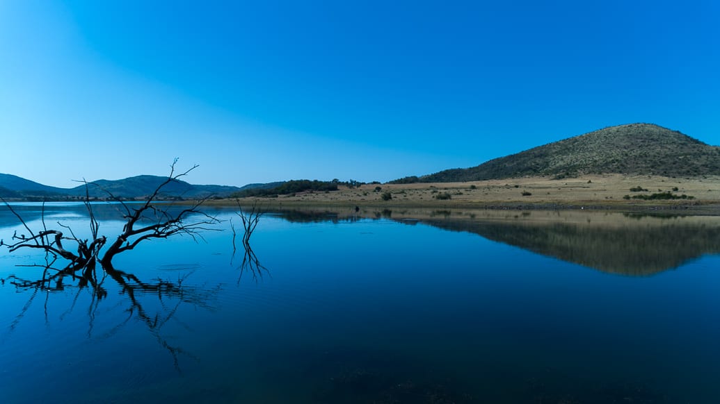 PIlanesberg Park: a melhor opção de safári perto de Joanesburgo