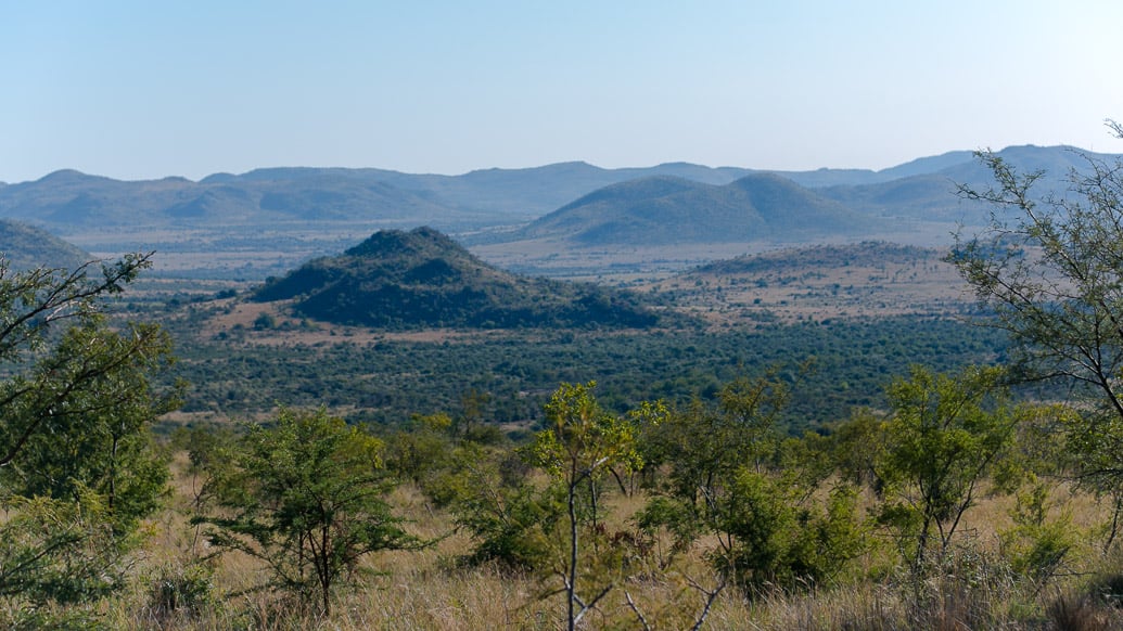 PIlanesberg Park: a melhor opção de safári perto de Joanesburgo