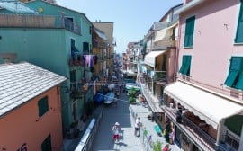 IMG_0530