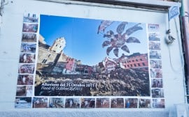 IMG_0665