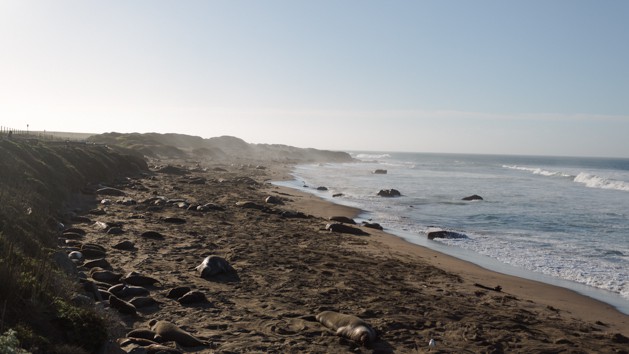 Viagem pela Highway 1 e Big Sur, na Califórnia