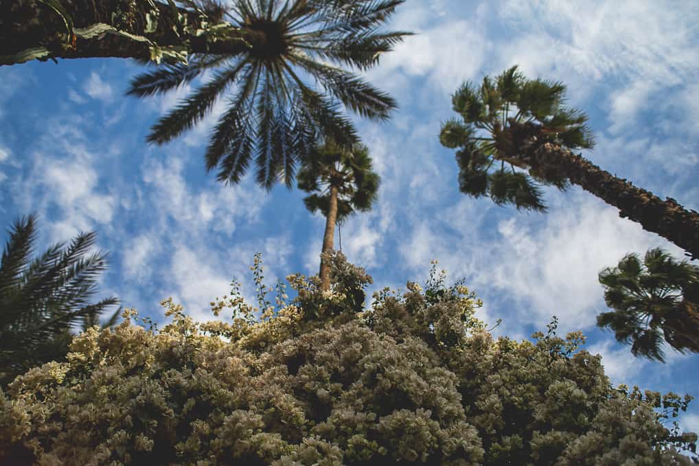 Jardim de Majorelle em Marrakech, Marrocos