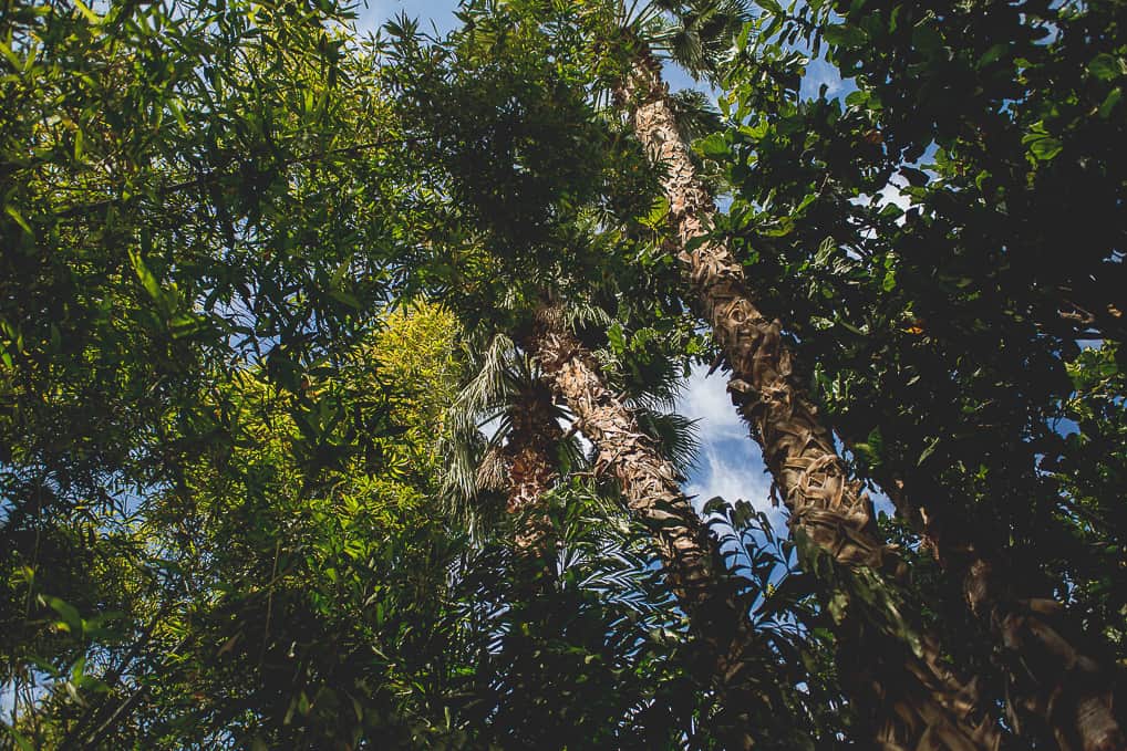 Jardim de Majorelle