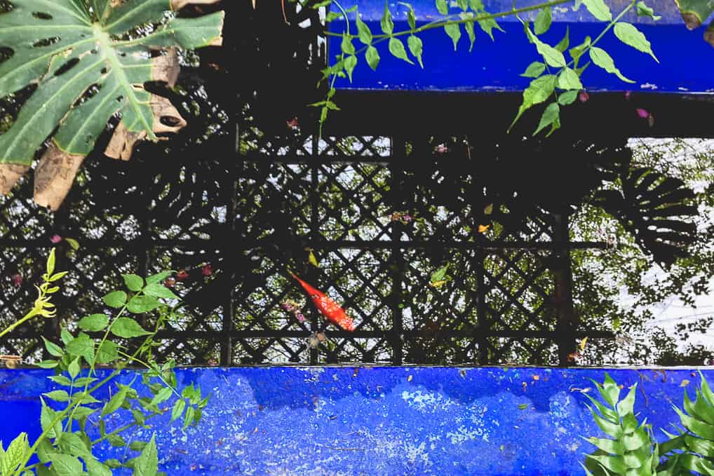 Visita ao Jardim de Majorelle