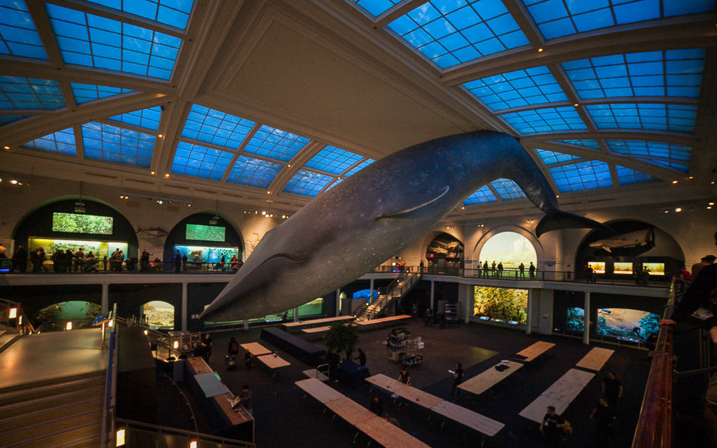 Uma Noite no Museu de História Natural em Nova York