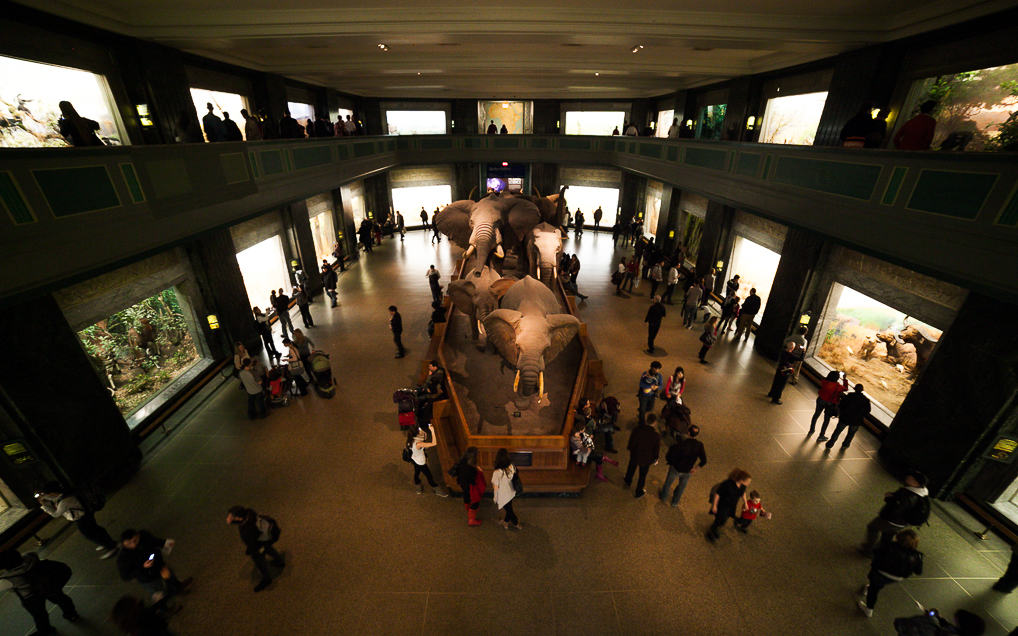 Uma Noite no Museu de História Natural em Nova York