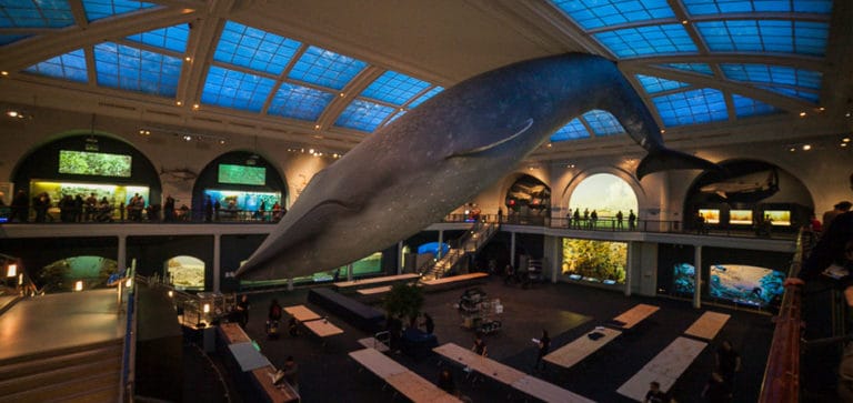 Uma Noite no Museu de História Natural em Nova York