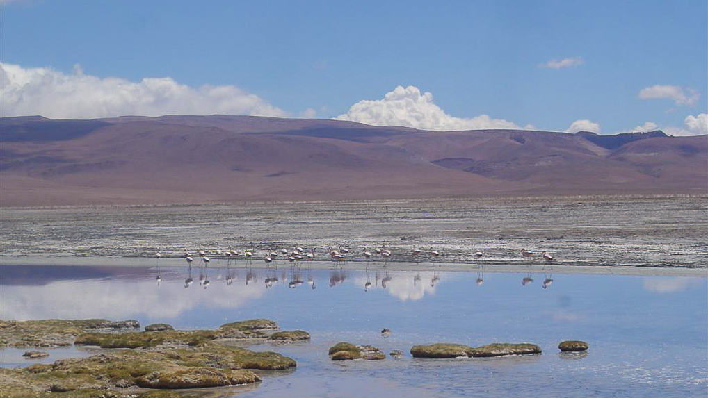 Salar do Uyuni, na Bolívia