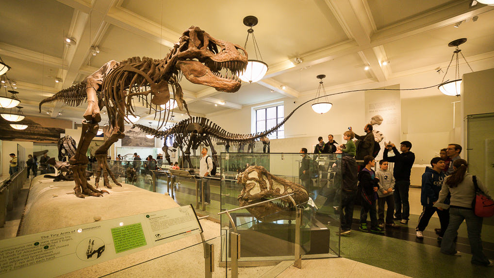 Uma Noite no Museu de História Natural em Nova York