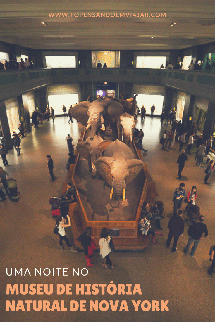 Uma Noite no Museu de História Natural em Nova York