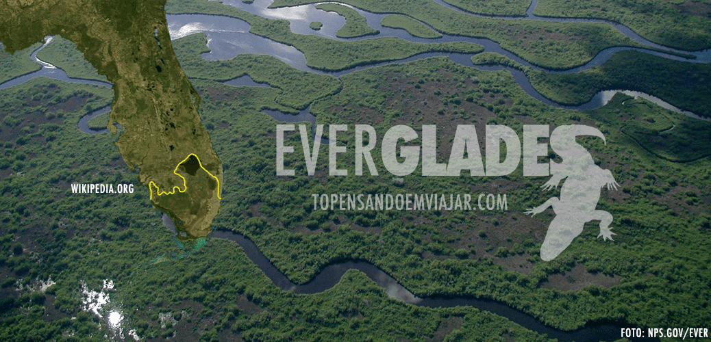 everglades_aerial