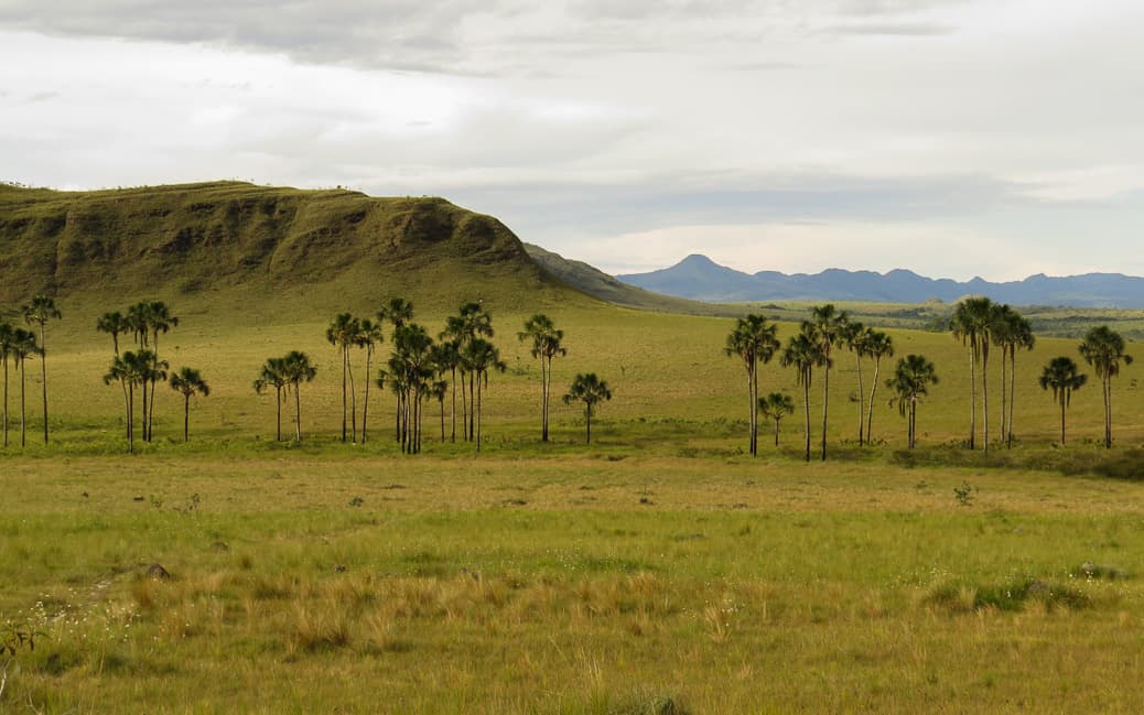 chapada dos veadeiros