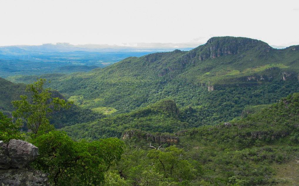 chapada dos veadeiros