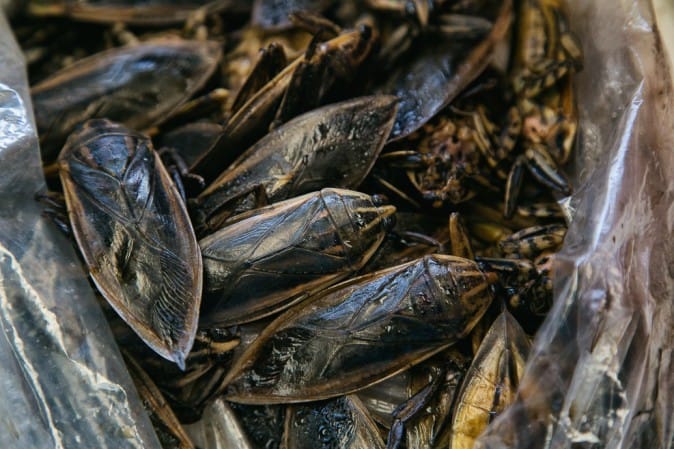 Aula Sobre Culinária Tailandesa: Dica de Programa em Bangok