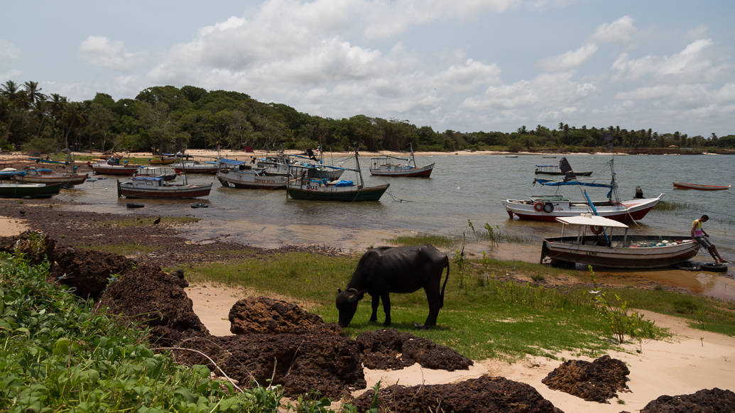 Roteiro 8 Dias no Pará