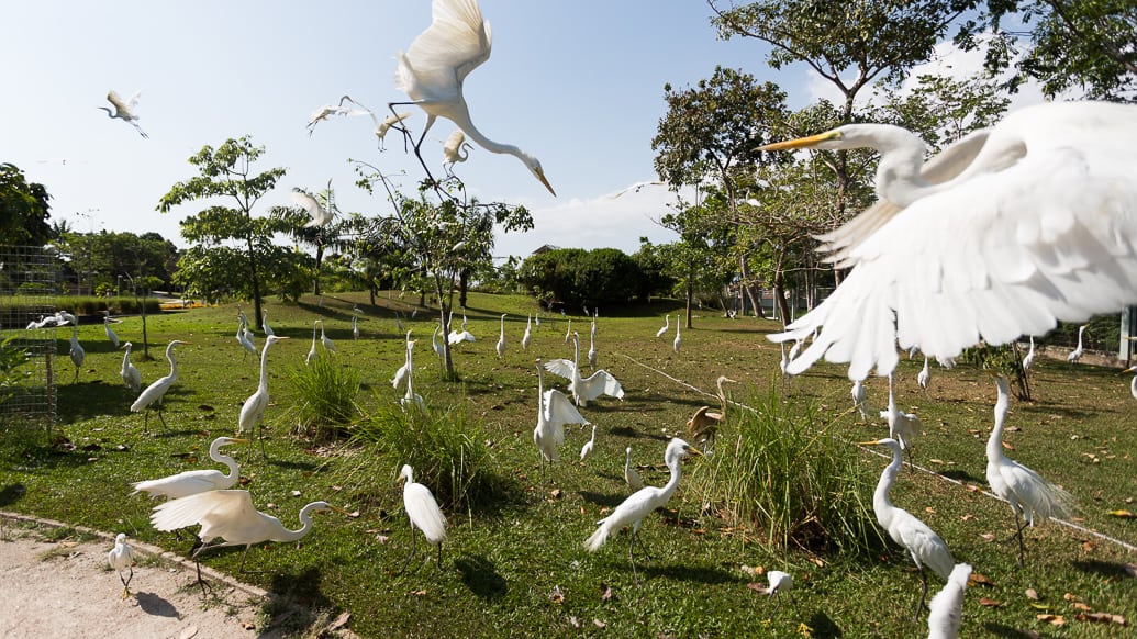 Roteiro 8 Dias no Pará