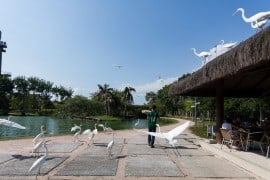 belem-para-mangal-das-garca-s-3