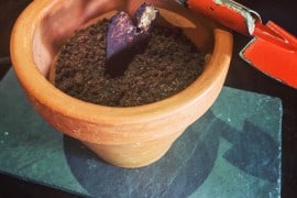 belem-para-sobremesa-remanso-bosque