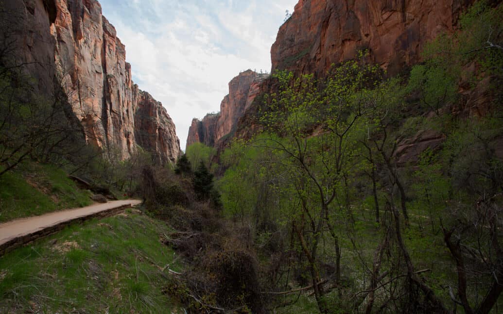 Roteiro de viagem de 2 dias no Zion National Park, em Utah