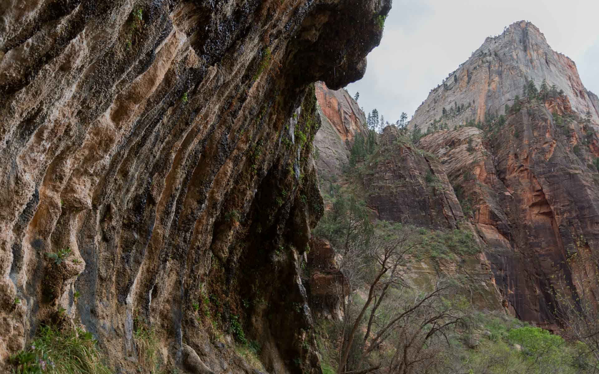 Roteiro de viagem de 2 dias no Zion National Park, em Utah