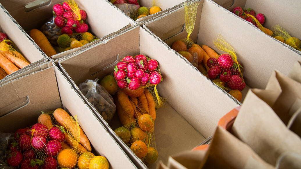 Feira de Orgânicos em Gonçalves