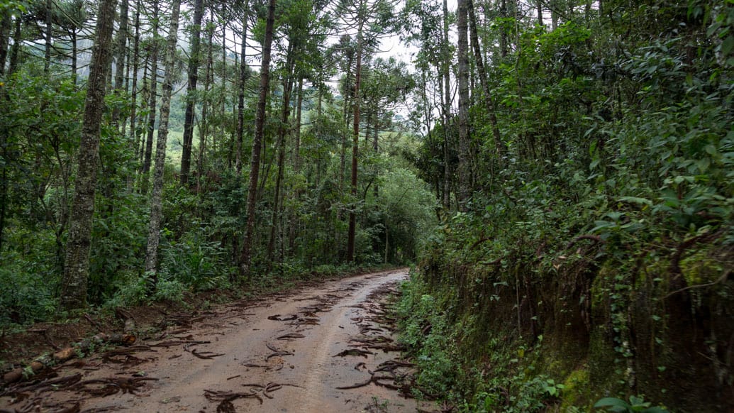 Mantiqueira Ecoturismo