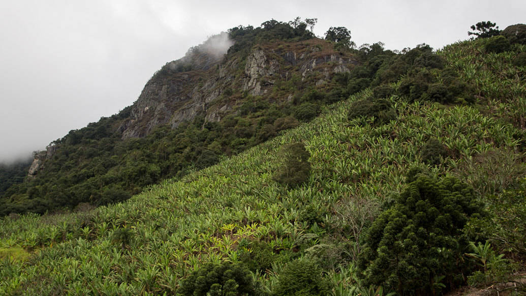 Mantiqueira Ecoturismo