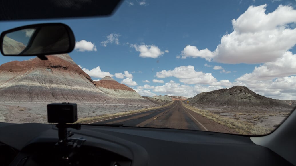 Petrified Forest National Park