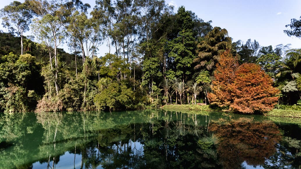 inhotim-jardim-colorido