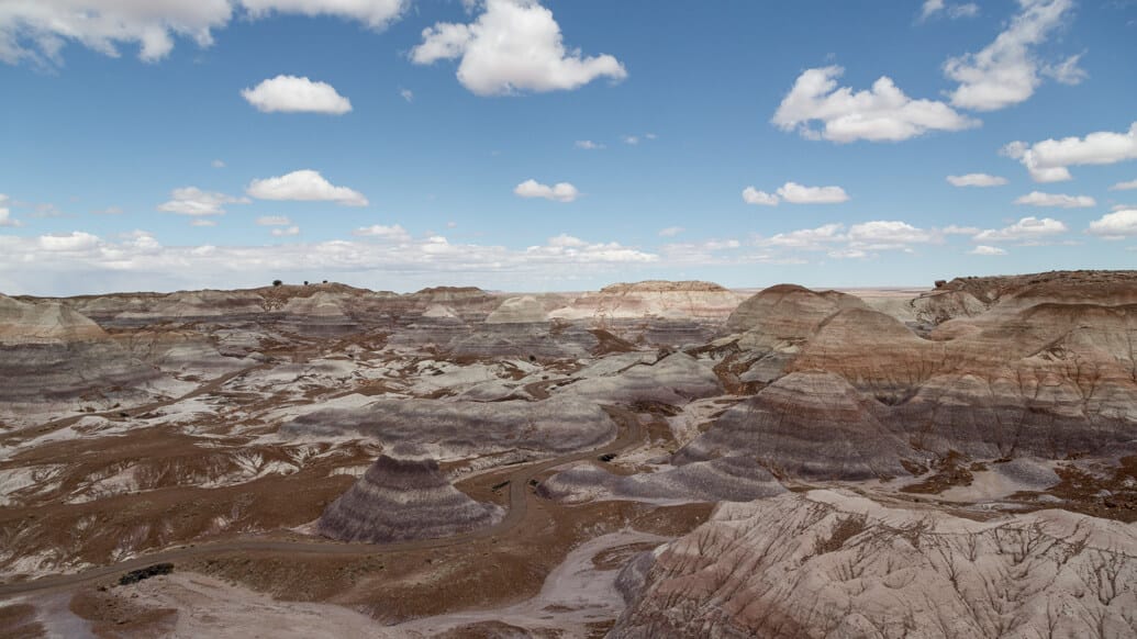 Petrified Forest National Park