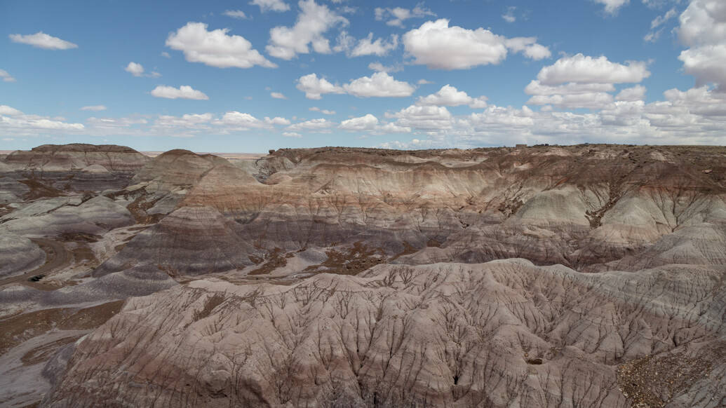 Petrified Forest National Park