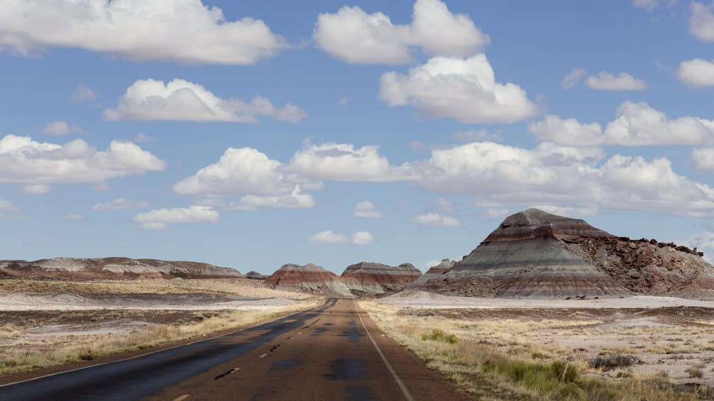 petrified-forest-estrada-reta