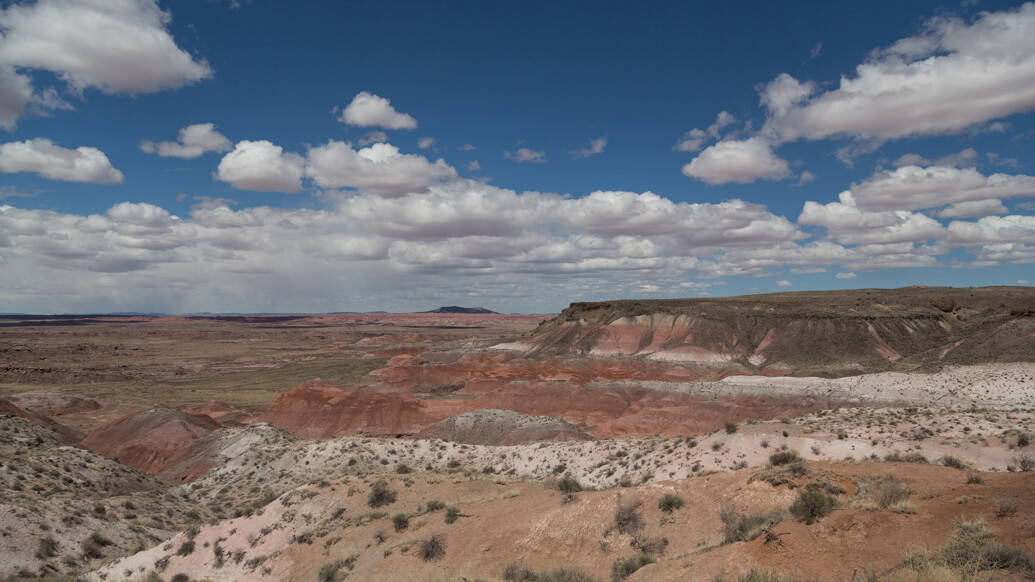 Petrified Forest National Park