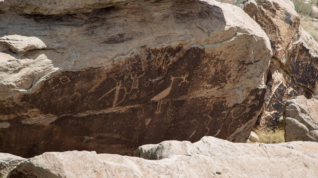 Petrified Forest National Park