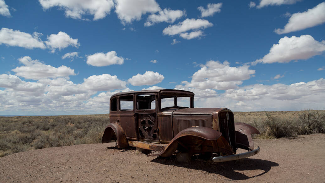 Petrified Forest National Park