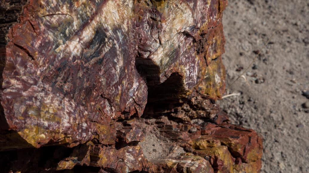 Petrified Forest National Park