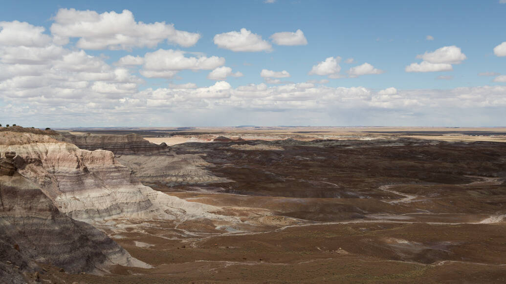 Petrified Forest National Park