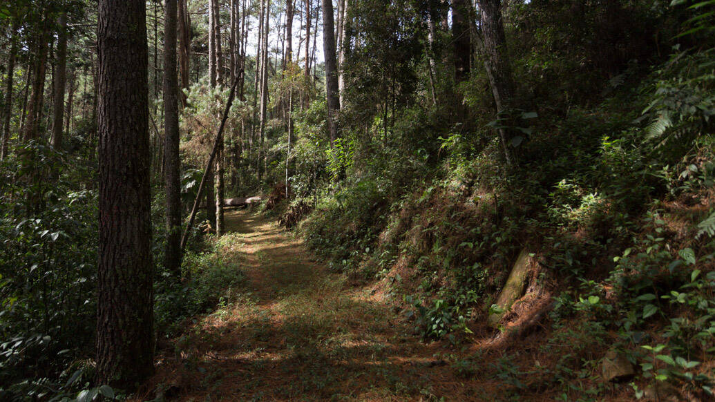 Fazenda Hotel Itapuá, em Monte Verde