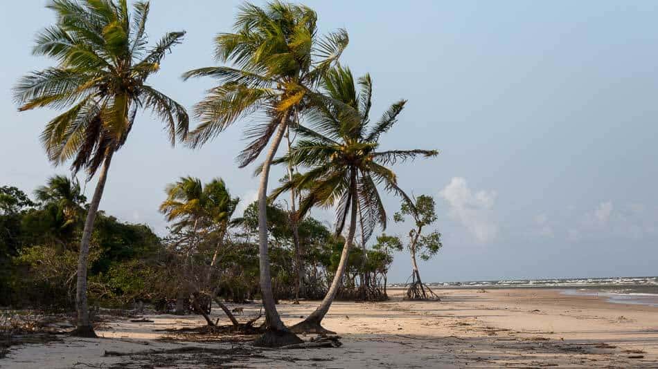 Praia na Ilha do Marajó