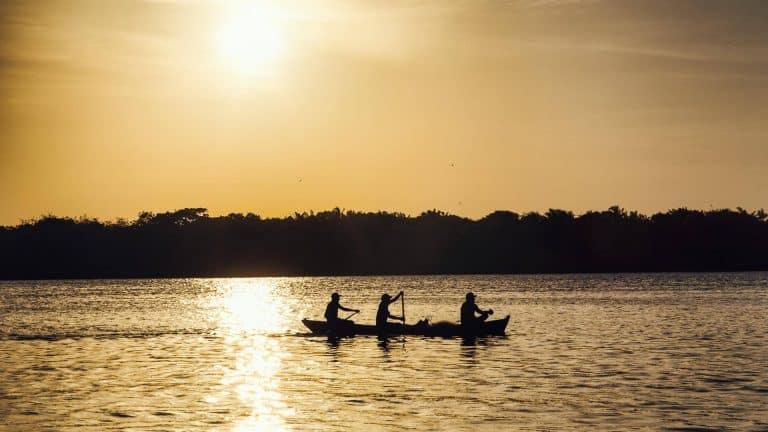 Descubra a Ilha de Marajó: Guia completo com dicas exclusivas para você explorar a região