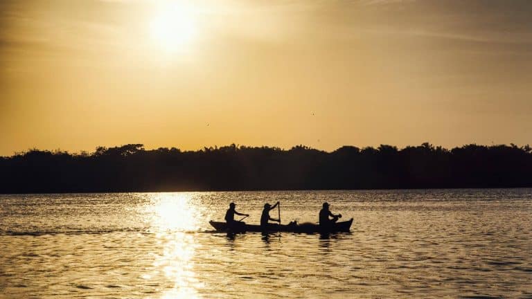 Ilha de Marajó: tudo o que você precisa saber