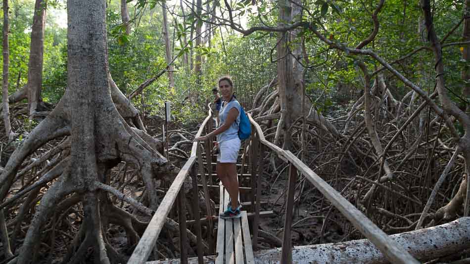 Passeio na Ilha de Marajó