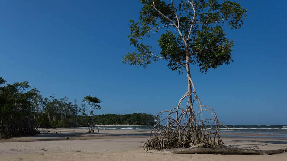 Praia em Soure, na Ilha do Marajó