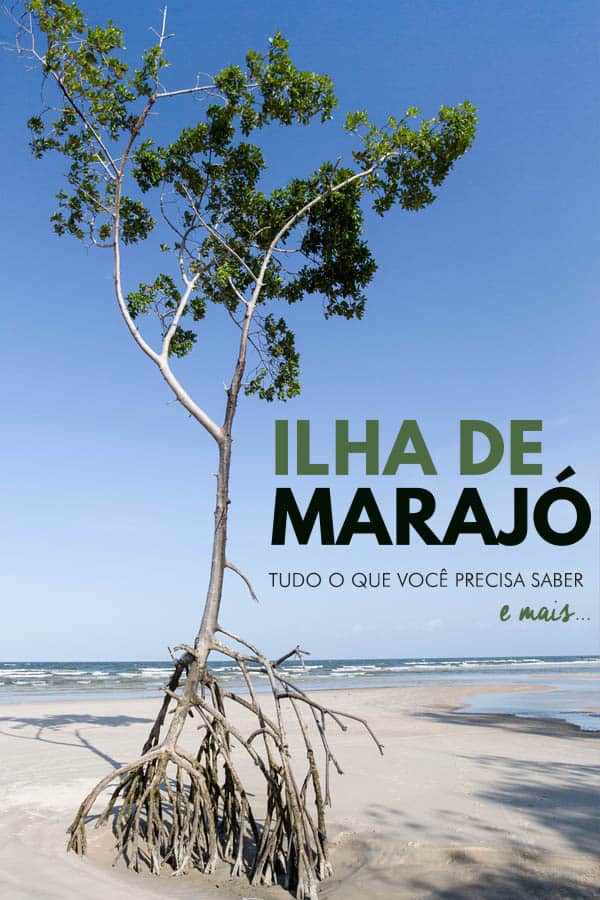 Guia completo com dicas e roteiro de viagem para a Ilha de Marajó, no Pará. Saiba como chegar, onde ficar e o que fazer.