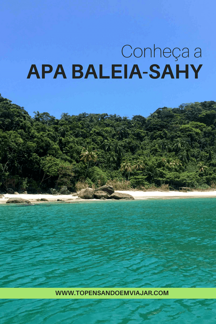 Conheça a APA Baleia-Sahy, no litoral norte de São Paulo